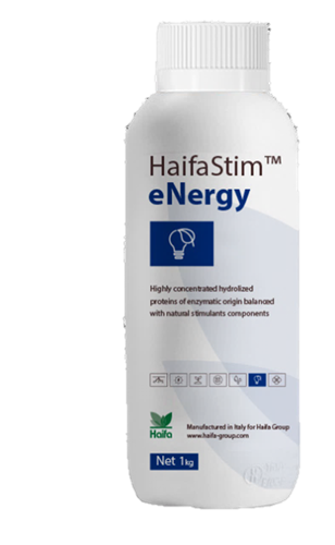 HaifaStim eNergy 1 ltr